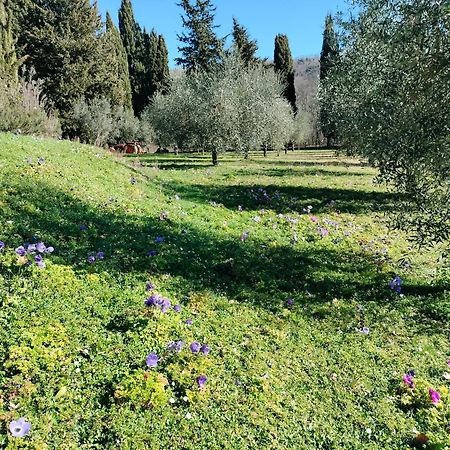 Agriturismo Natura E Salute San Gimignano Dış mekan fotoğraf