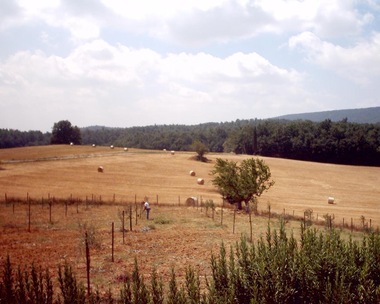 Agriturismo Natura E Salute San Gimignano Dış mekan fotoğraf