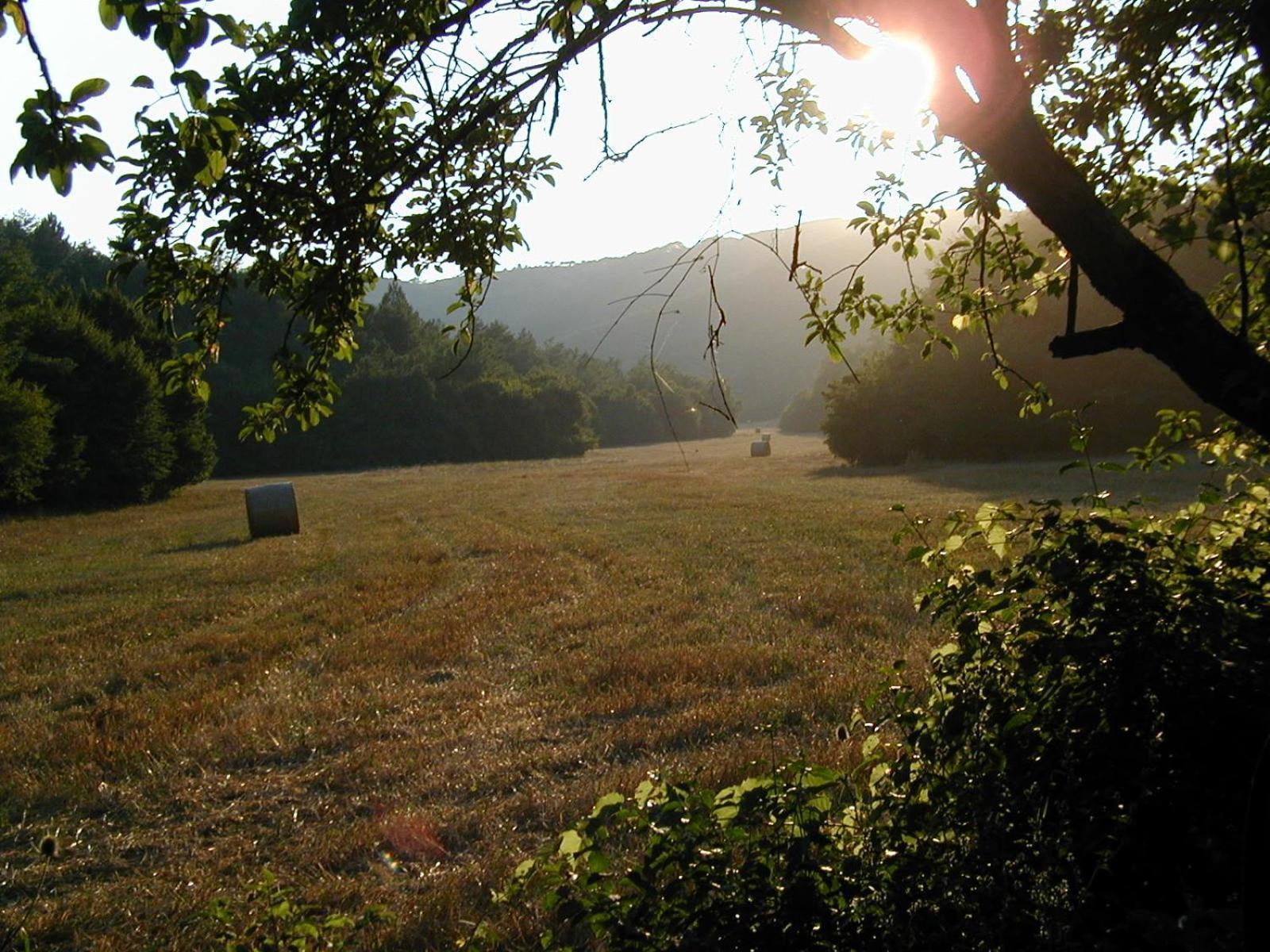 Agriturismo Natura E Salute San Gimignano Dış mekan fotoğraf