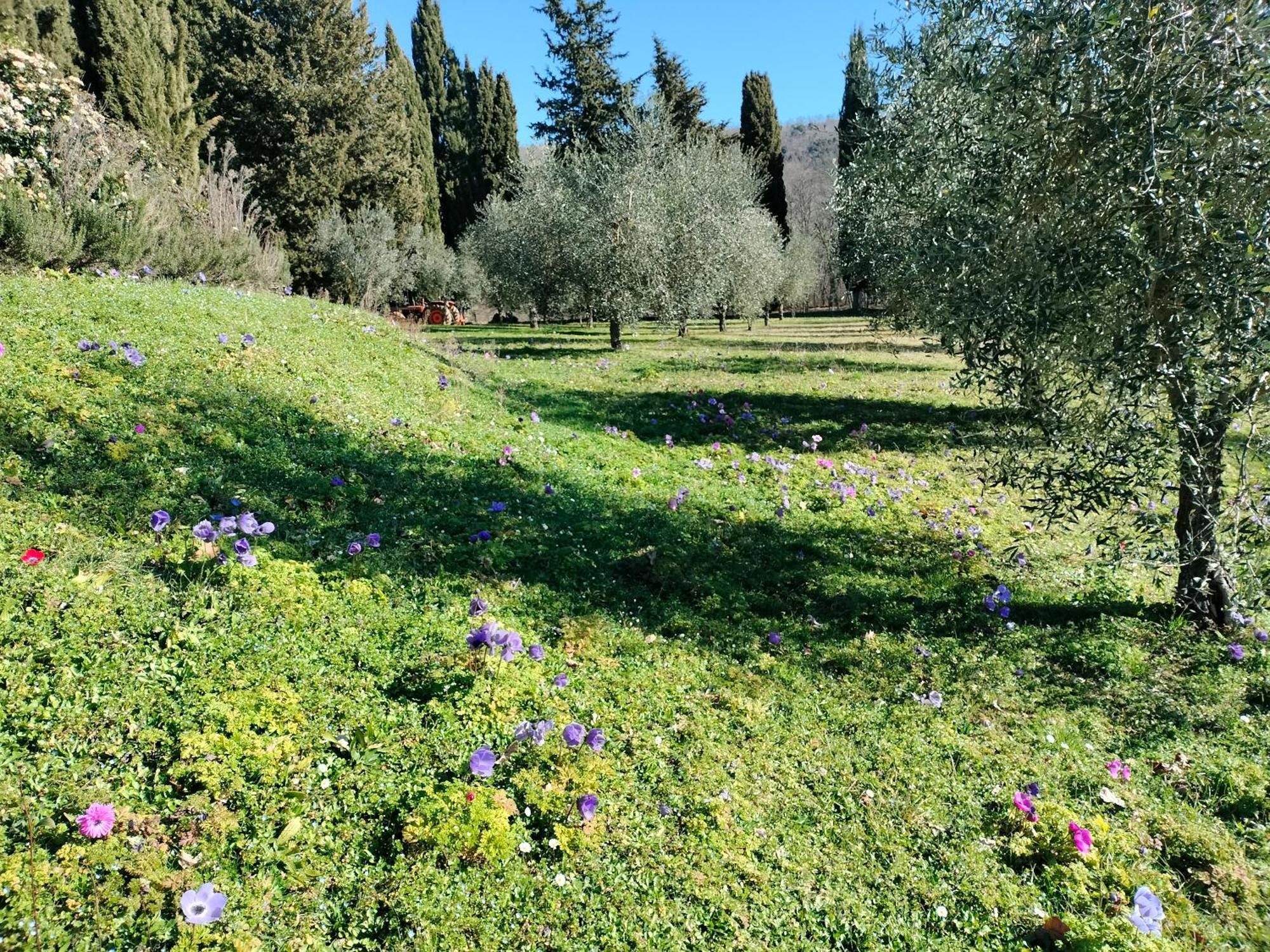 Agriturismo Natura E Salute San Gimignano Dış mekan fotoğraf