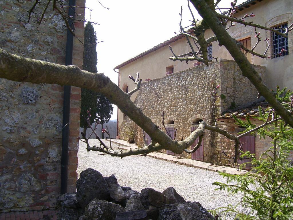 Agriturismo Natura E Salute San Gimignano Dış mekan fotoğraf